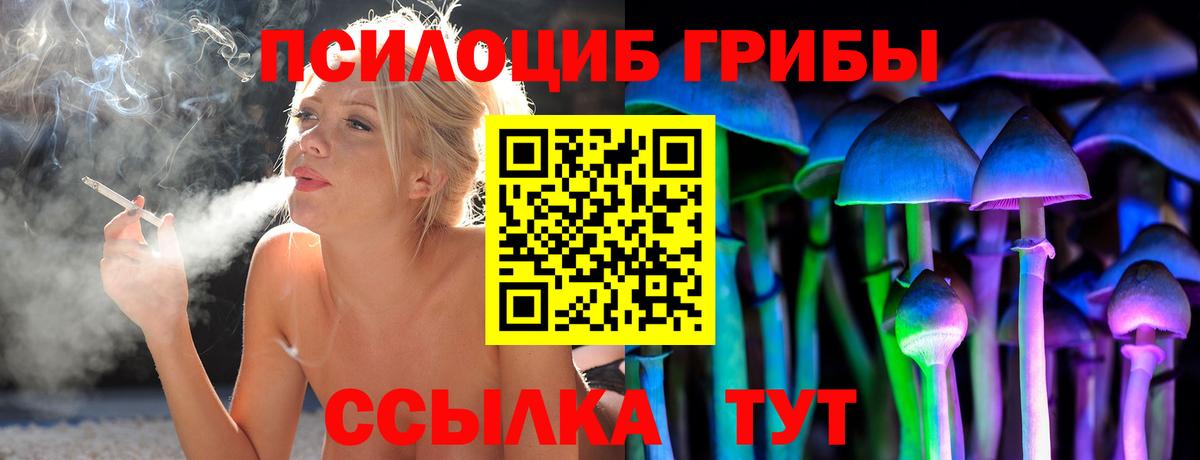 Галлюциногенные грибы прущие грибы  Галлюциногенные грибы мицелий  Юрга  Вход с VPN 